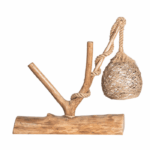 DSC03994 Ceviz Aplik